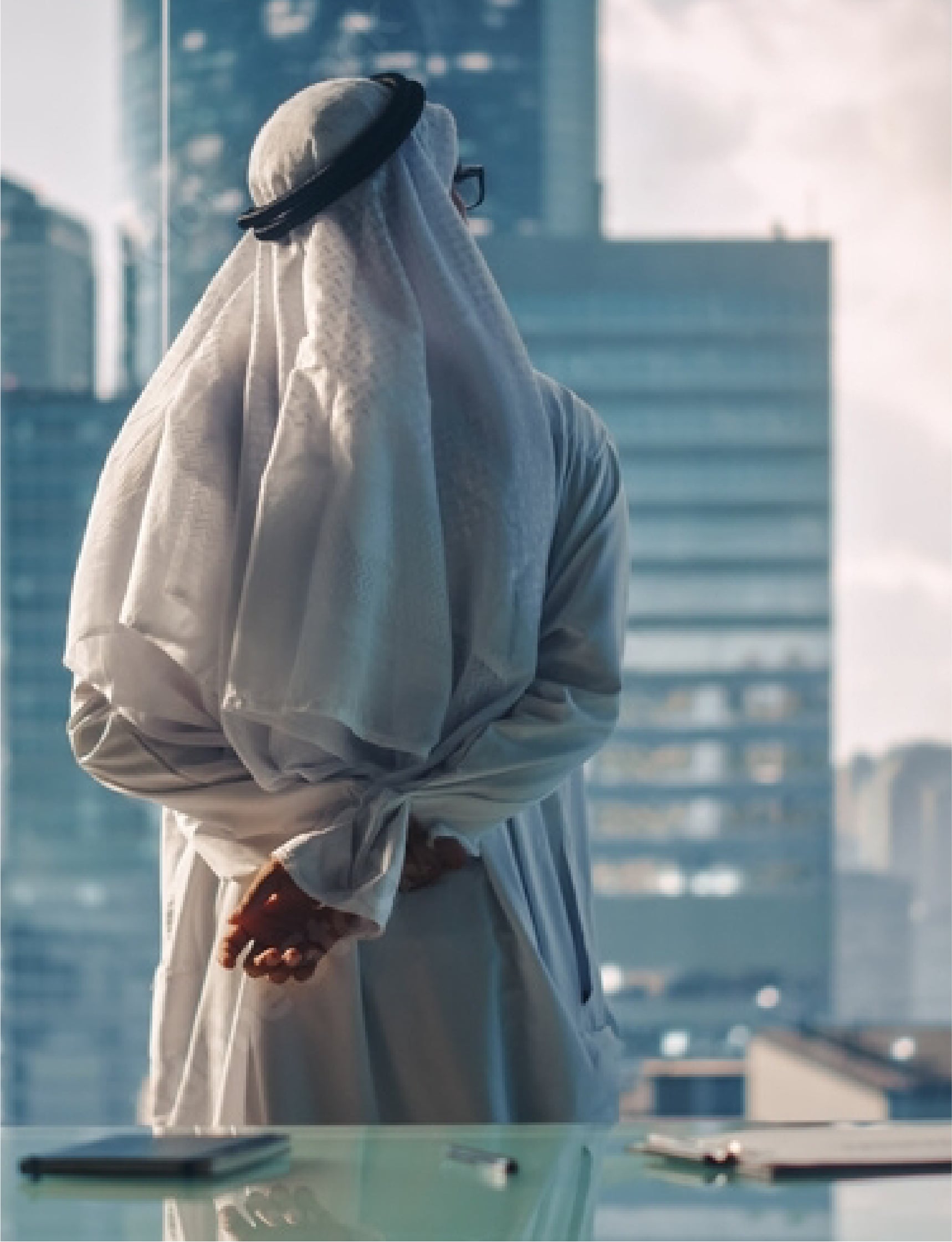 Survey researcher analyzing MENA market data