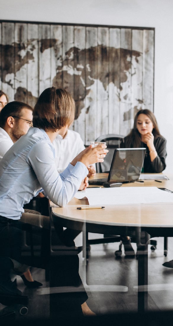 MENA region survey insights